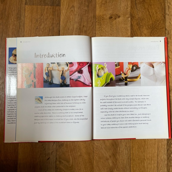 Naughty Cakes Debbie Brown Step by step recipes for 19 fabulous, fun cakes 2005 - Picture 5 of 10